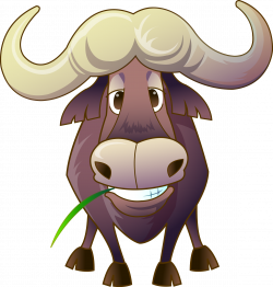 Water buffalo Bovini Cartoon - Gentle cow 2013*2111 transprent Png ...