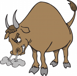Hereford cattle Texas Longhorn Bull Clip art - Raging Bull 1920*1902 ...