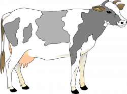 28+ Collection of Free Cow Clipart Images | High quality, free ...