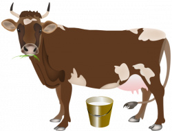 Dairy cattle Milk Dairy farming Vector graphics Clip art ...