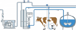 COLLECTION AND RECEPTION OF MILK | Dairy Processing Handbook