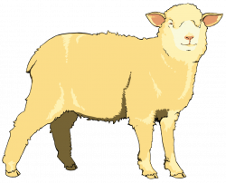 File:Sheep clipart 01.svg - Wikimedia Commons