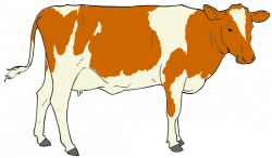 File:Cow clipart 01.svg | My Style | Cow art, Cow clipart ...