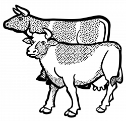 Clipart - cows - lineart