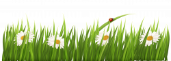 Grass Clipart piece - Free Clipart on Dumielauxepices.net