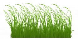 28+ Collection of Free Grass Clipart | High quality, free cliparts ...