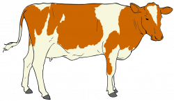 Cows with Accents File Cow Clipart 01g Wikimedia Mons - Stream Home ...