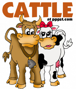 Free PowerPoint Presentations about Cattle & Cows for Kids ...