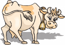 Cow Rear Cattle Livestock Farm PNG Image - Picpng