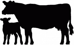 28+ Collection of Beef Cattle Clipart | High quality, free cliparts ...