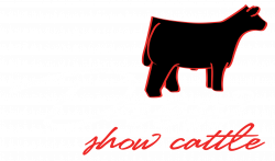 Drew Show Cattle Logo Design | The Showtimes Junior Livestock Magazine
