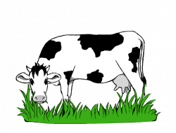 28+ Collection of Cow Grazing Clipart | High quality, free cliparts ...