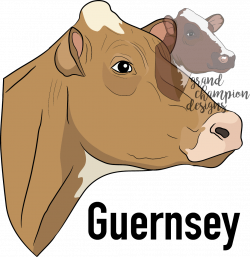 Guernsey Dairy Cow Window Clings – Grand Champion Designs