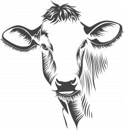 Clipart - Detailed Cow Line Art
