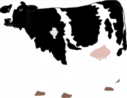 Clipart - Realistic Cow Illustration