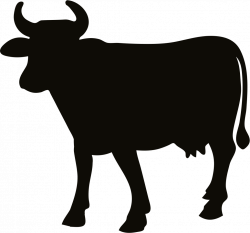 animal-cow-free-PNG-transparent-background-images-free-download ...