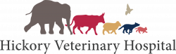 Emergency Vet Plymouth Meeting | Hickory Veterinary Hospital