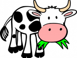 19 Cow clipart waste HUGE FREEBIE! Download for PowerPoint ...