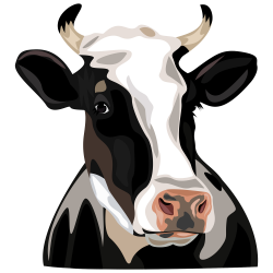 Holstein Friesian cattle Clip art - Cow Head 2000*2000 transprent ...