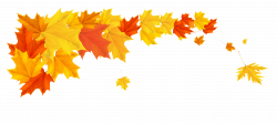 Orange Fall Leafs PNG Clipart Picture | ClipArt | Pinterest | Free