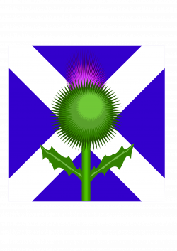 Scottish Thistle and flag by @kevie, The two national emblems: the ...