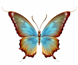 Butterfly 14.png | Pinterest | Butterfly, Decoupage and Printable ...