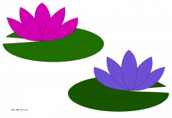28+ Collection of Water Lily Pond Clipart | High quality, free ...