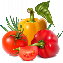 Vegetable Fruit Chili pepper Clip art - vegetable salad 997*1000 ...
