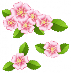 Pink Flowers Transparent PNG Clip Art Image | Gallery Yopriceville ...