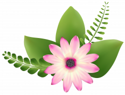 Pink Flower Clip-Art PNG Image | Gallery Yopriceville - High ...