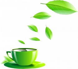 Green tea Coffee cup - Green tea 994*879 transprent Png Free ...
