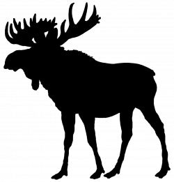 Moose Silhouette Deer Clip art - silhouettes 1240*1299 transprent ...