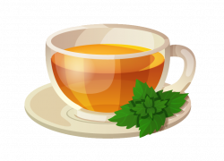 White tea Green tea Iced tea Clip art - scented tea 764*552 ...