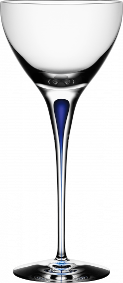 Champagne Glass transparent PNG - StickPNG