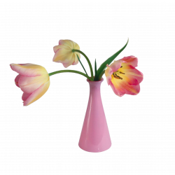 Valentines Day Flower Vase Clip art - vase 2953*2953 transprent Png ...