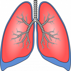 Find Out Which of Your Habits Cause Chronic Obstructive Pulmonary ...