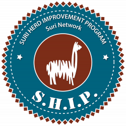 Suri Network - SHIP