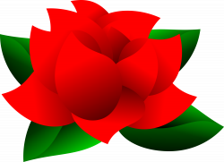 Beautiful Red Rose with Green Leaves Clipart | Isolated Stock Photo ...