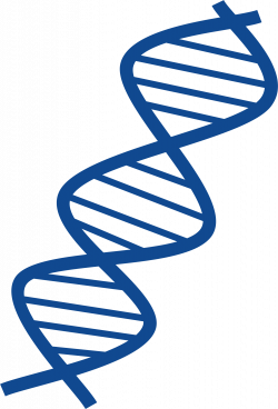 Image result for DNA art blue | Chemistry Graphics | Pinterest ...