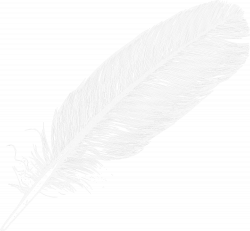 Large White Transparent Feather PNG Clipart | Gallery Yopriceville ...