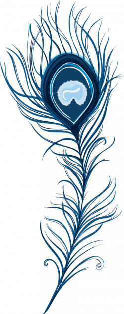 Download PEACOCK FEATHER Free PNG transparent image and clipart