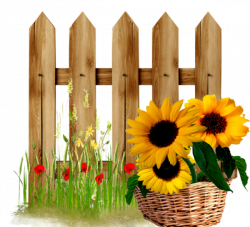 sunflower fence | garden | Pinterest | Fences, Sunflowers and ...