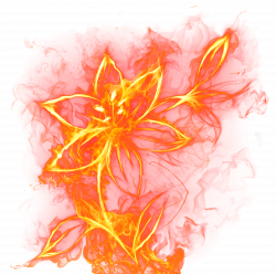 Beautiful Fire Flower PNG Clipart Picture | Gallery Yopriceville ...
