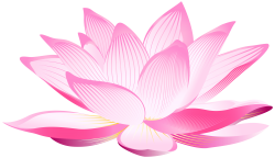 Lotus Flower PNG Clip Art Image | Gallery Yopriceville - High ...
