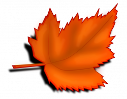 Leaf Autumn | Free Stock Photo | Illustration of an orange autumn ...