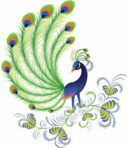 Pretty Peacock!! | Clipart | Pinterest | Peacocks