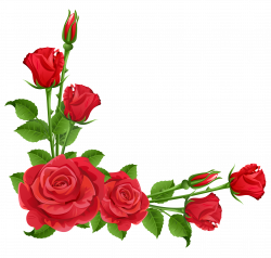Red Roses Transparent PNG Clipart | Gallery Yopriceville - High ...