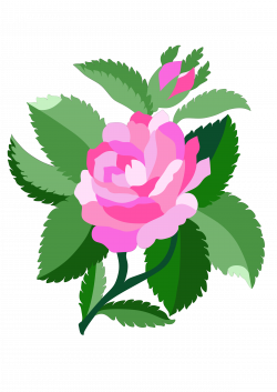 Clipart - Design for damask rose