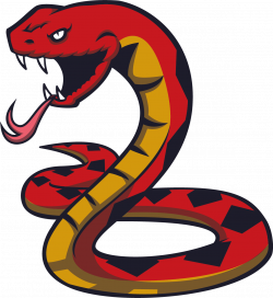 Snake Tattoo PNG Transparent Quality Images | PNG Only