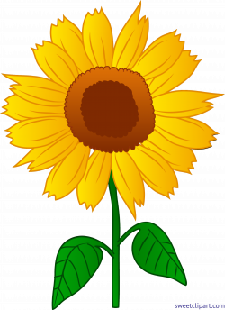 Sunflower 2 Clip Art - Sweet Clip Art
